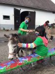 20 3 HE BN Karlschule 5